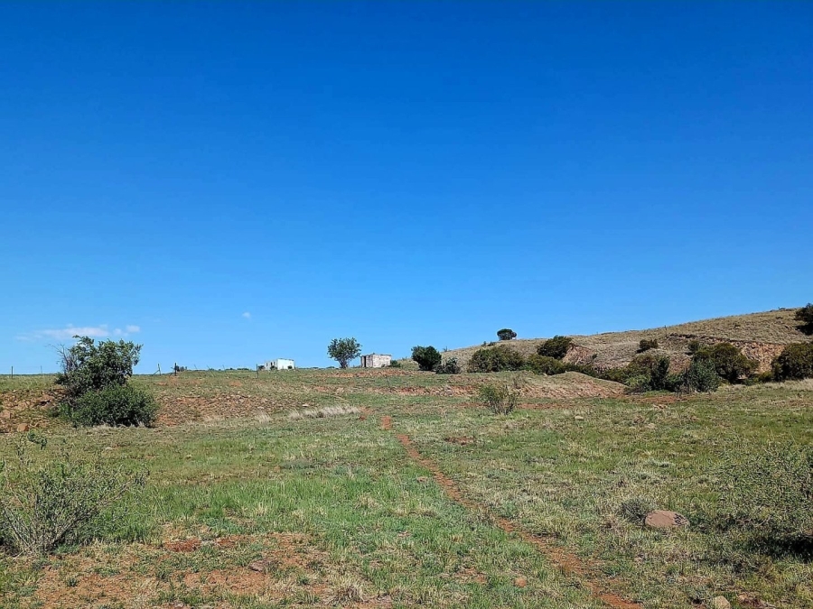 4 Bedroom Property for Sale in Senekal Rural Free State